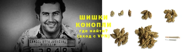 мяу мяу мука Кулебаки