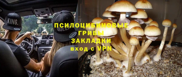 мяу мяу мука Кулебаки