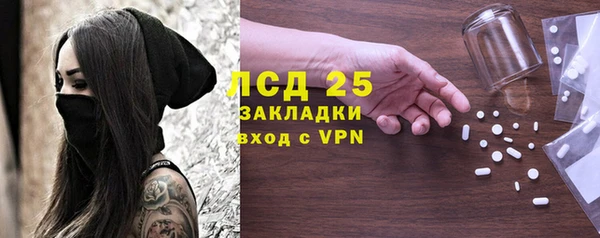 твердый Краснослободск